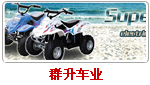 http://www.chinsun-vehicle.com